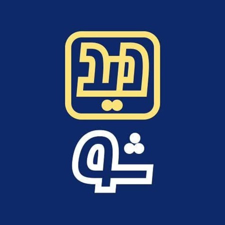 طراحی سایت دیدشو