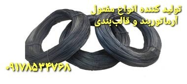 Reinforcing and molding wire production factory in Shiraz