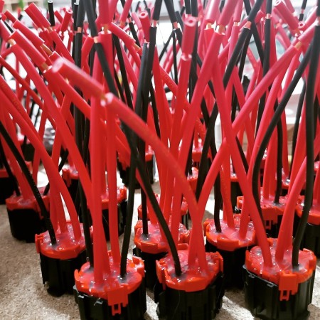 Production of car sockets