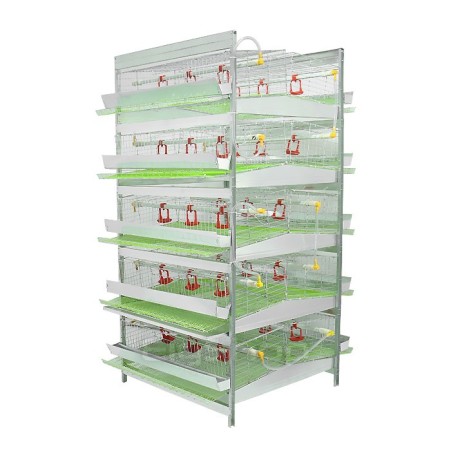 فروش قفس بلدرچین