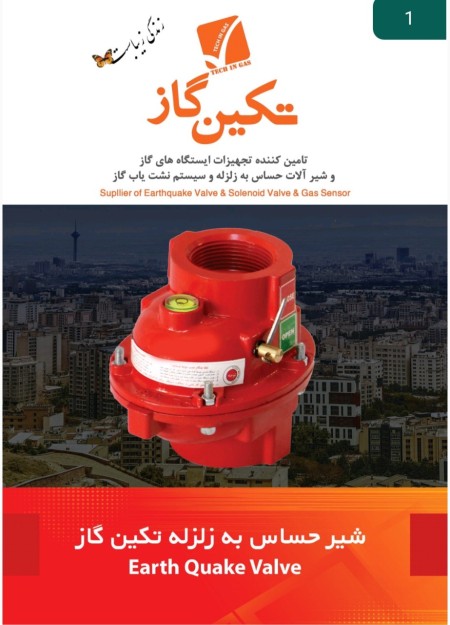 Takin Gas earthquake sensitive valves