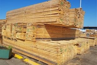 جک و قالب مردانی ( تایماز قالب مردانی)