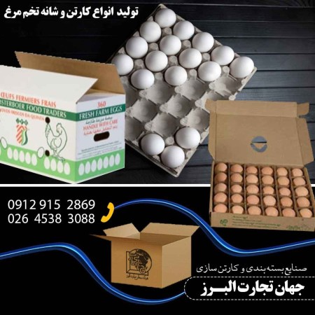 Carton, carton making and carton production