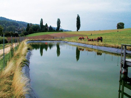 Production and construction of agricultural pool