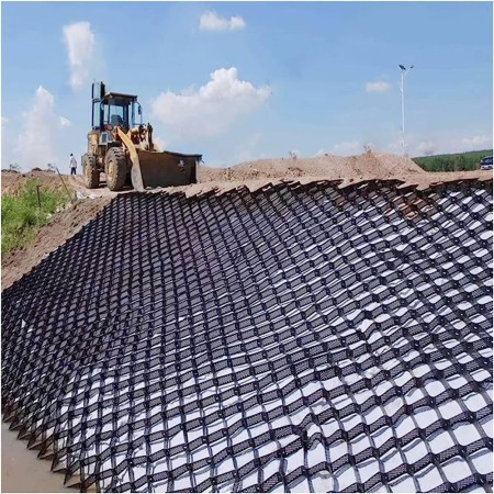 Slope erosion control using Arian Sel