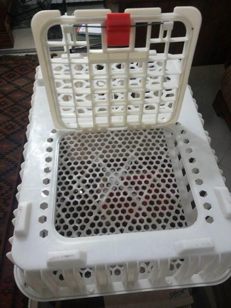 Cage Basket for Transporting Live Chickens