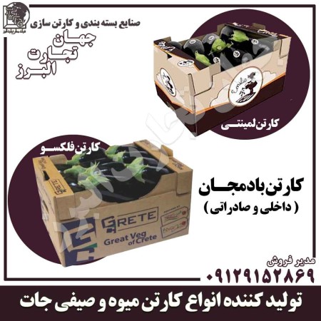 کارتن میوه و بسته بندی میوه صادراتی