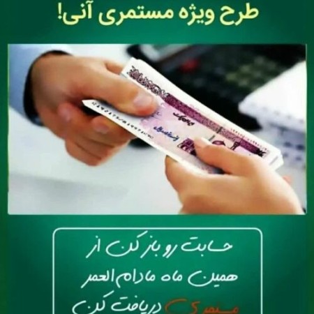 Rain insurance in Shiraz, Isfahan and the south of the country