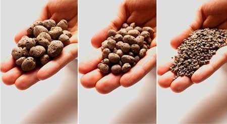 فروش پوکه صنعتی لیکا در مشهد