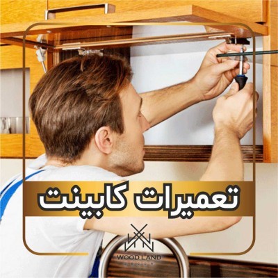 Cabinet repairs