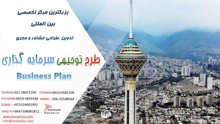 Consultant and executor