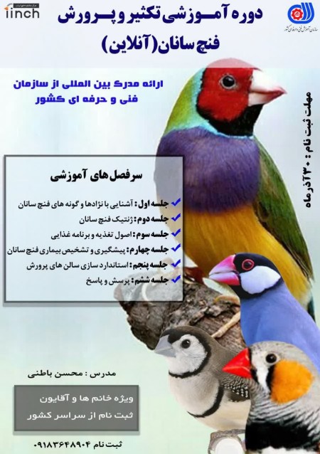 Topic: Breeding and breeding of finches