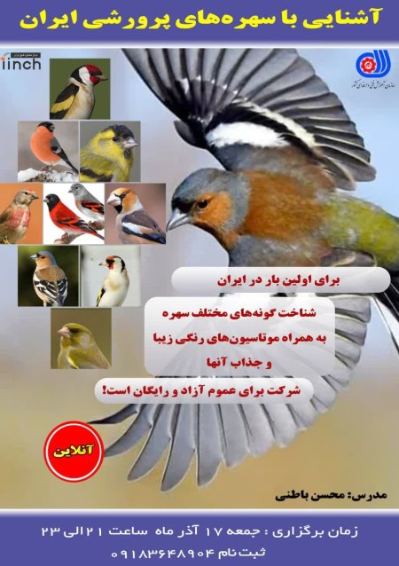 Subject: Industrial training of Sohre Sanan