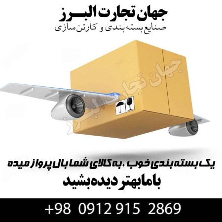 Dried fruit cartons and dried fruit packaging