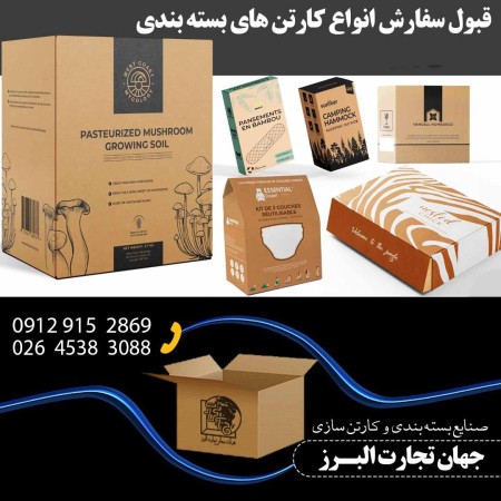 کارتن چینی و کارتن بلوریجات