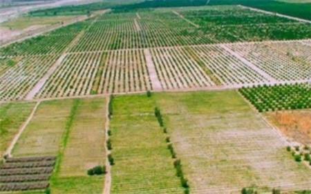 Land design and control software