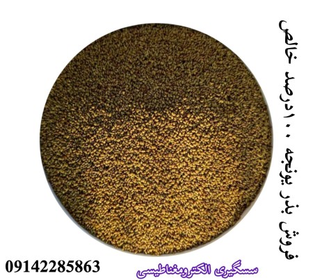 صادرات بذر یونجه ،فروش انواع بذر های علوفه ای بوجاری شده