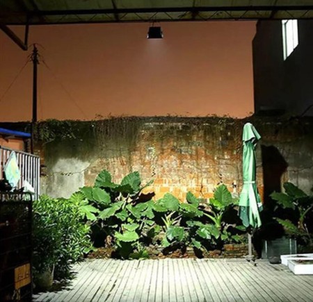 Solar lights and solar projectors