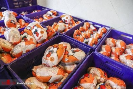 Slaughterhouse basket, live chicken basket