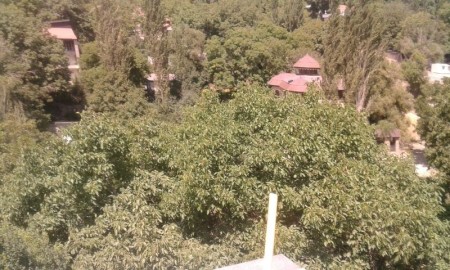 Urgent sale auction of 1800m 900m garden in 5-room Damavand villa