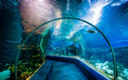 تورهای داخلی آفری