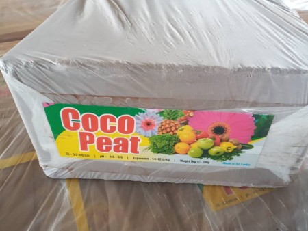 Selling grade 1 coconut
