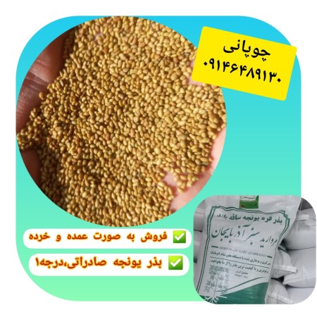 Sale of alfalfa seeds and other fodder of standard varieties