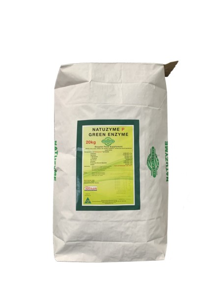 Natozyme multi-enzyme