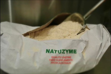 Natozyme multi-enzyme