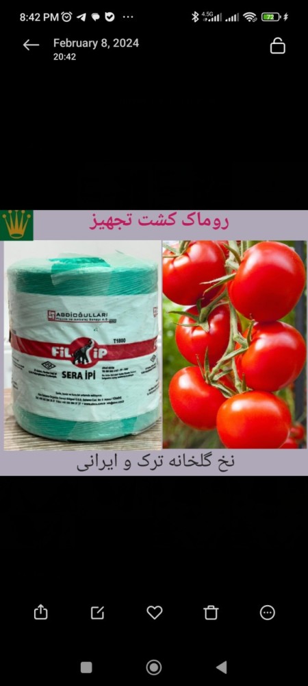 Selling Turkish and Iranian greenhouse yarn