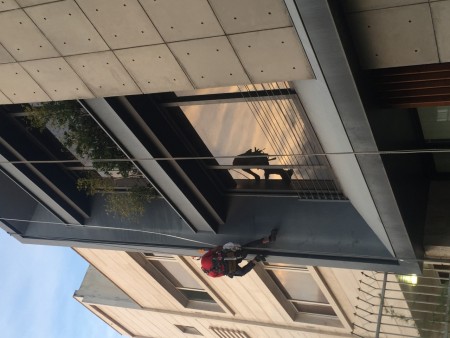 Title: Implementation of facade services without scaffolding and lifting with rope (rappel)