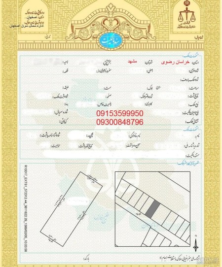 Carrying out administrative and commercial affairs in Mashhad