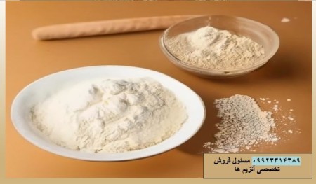 Alpha amylase enzyme alpha amylase enzyme converts starch into sugar