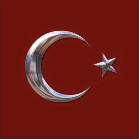 مترجم‌ شفاهی همزمان ترکی استانبولی و انگلیسی