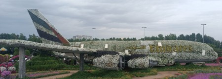 Special Dubai group tour on June 11 with tours