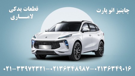 Fidelity Dignity Lamari spare parts