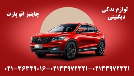 Fidelity Dignity Lamari spare parts