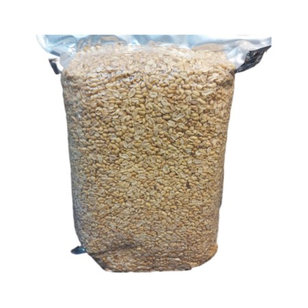 بادام زمینی مخصوص کره گیری 20 کیلویی (ارسال رایگان)