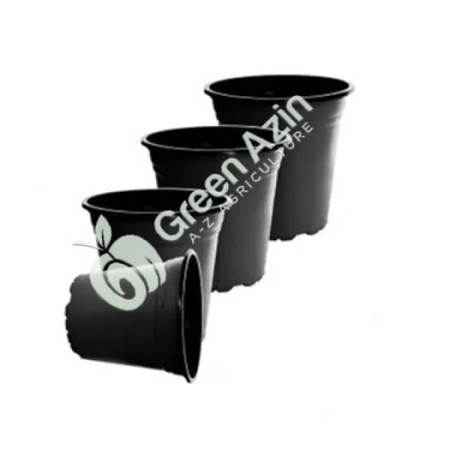 Sale and export of jelly pots