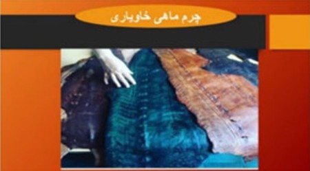 خواص و مزیت چرم پوست ماهی