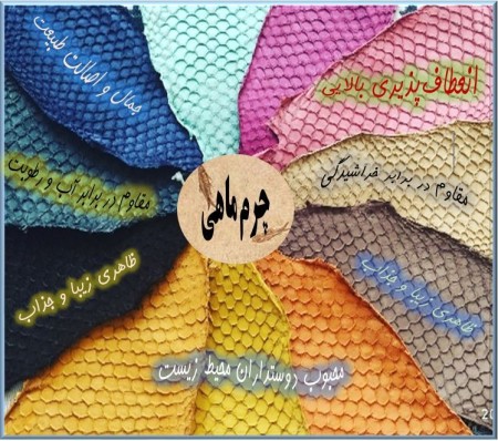 Video introduction of fish skin leather industry