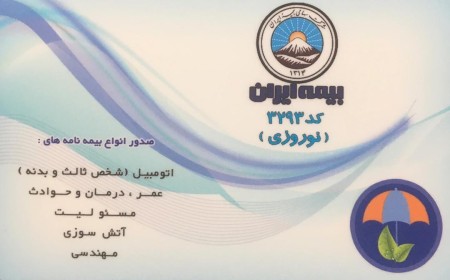 Iran Insurance - Ms. Nowrozi\'s agency