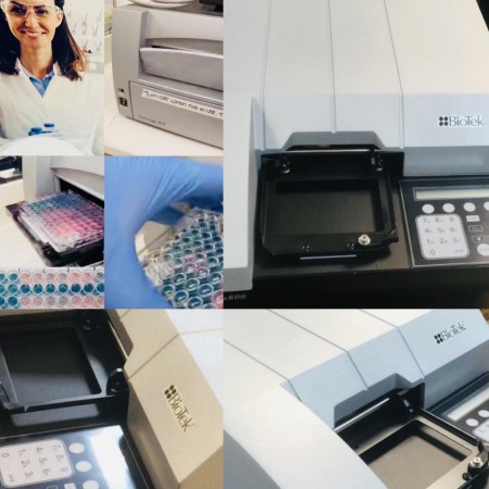 biotek elx808 ELISA reader Biotek device