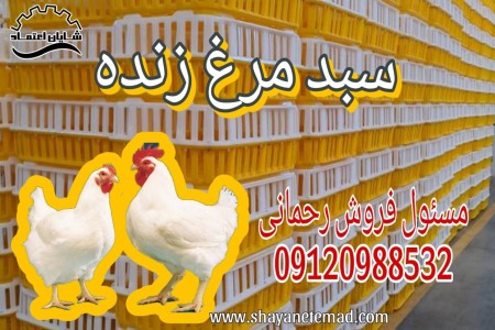 Live chicken basket/slaughterhouse basket/plastic basket