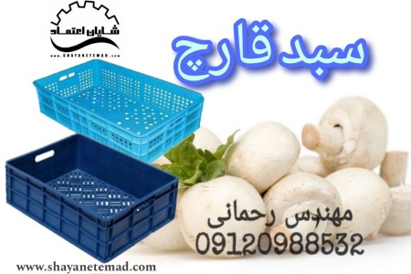 Mushroom basket/plastic basket/10 kg basket