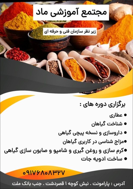 Traditional Medicine Education and Medicine Medicine