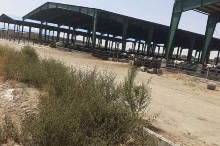 Execution of Warehouse Foundation