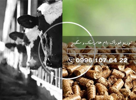 Mazrai livestock feed