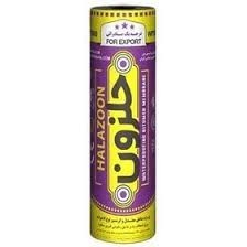 Delijan snail export isogam