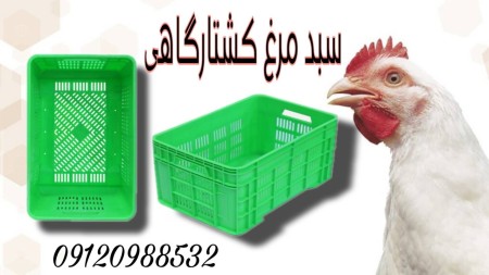 Slaughterhouse basket/chicken basket/2 kg basket